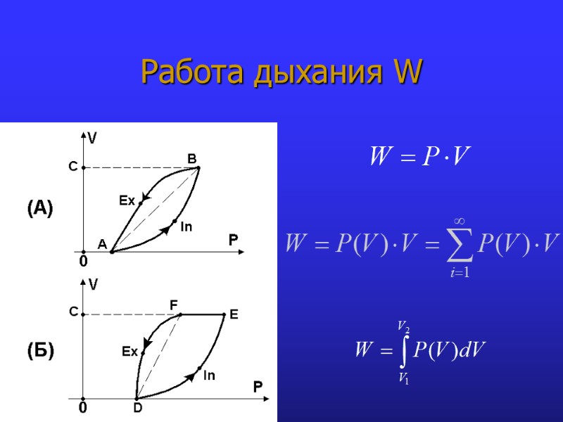 Работа дыхания W